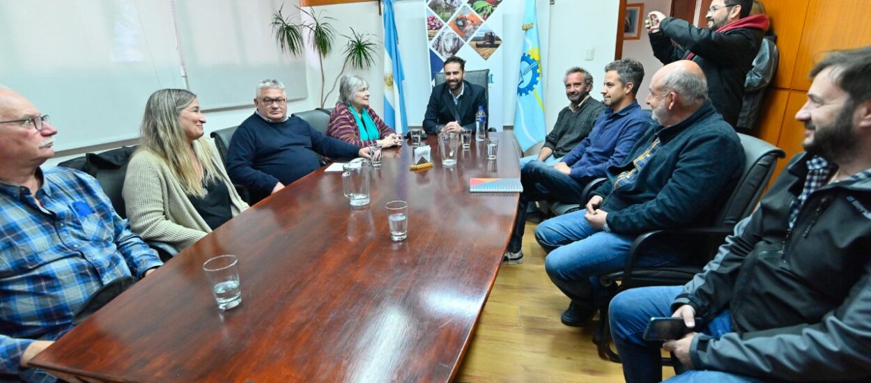 El Gobierno del Chubut realizó una nueva reunión de la mesa olivícola con la participación de la titular del SENASA 