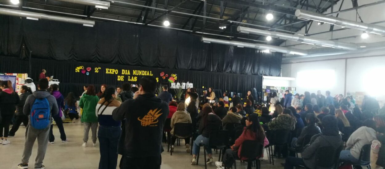 Comodoro Rivadavia: Se realizó la Segunda Expo del Día Mundial de las Abejas