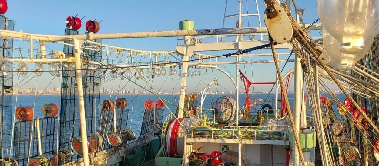 Impuesto a las ganancias, dólar pesca y capturas por debajo de lo esperado