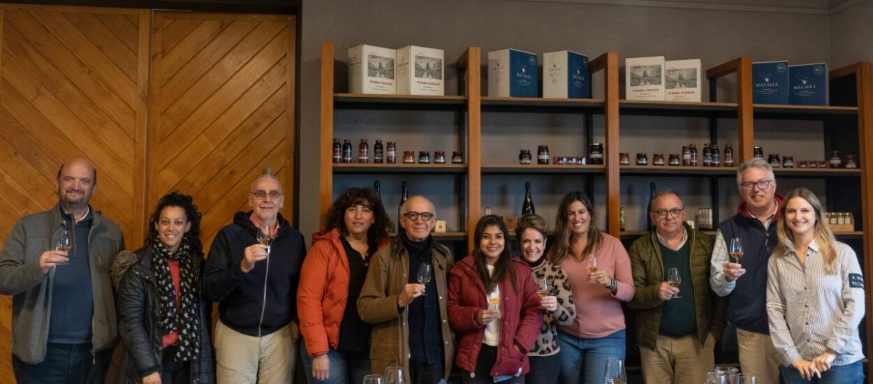 Profesionales, periodistas e influencers de Brasil, Perú, Paraguay, Costa Rica, Colombia y Ecuador visitaron bodegas y viñedos de Chubut