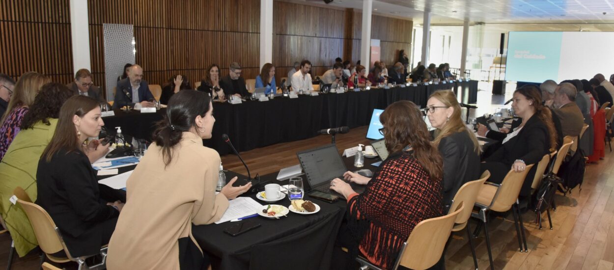 Chubut participó de reunión del Consejo Federal de Salud centrada en salud y cambio climático