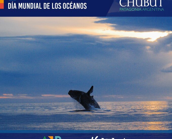 DÍA MUNDIAL DE LOS OCÉANOS: CHUBUT DESTACA LA IMPORTANCIA DE LA PROTECCIÓN Y CONSERVACIÓN DE SUS COSTAS