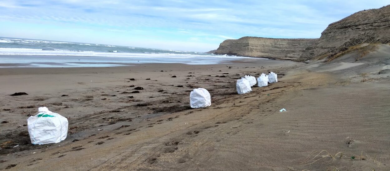 Exitosa jornada de limpieza de costa en Península Valdés coordinada por equipos interinstitucionales