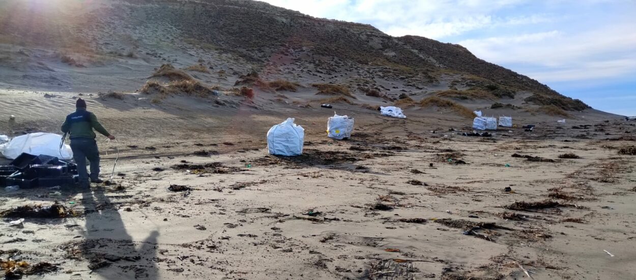 El Gobierno del Chubut comenzó con la limpieza de costas en el Área Natural Protegida Península Valdés 