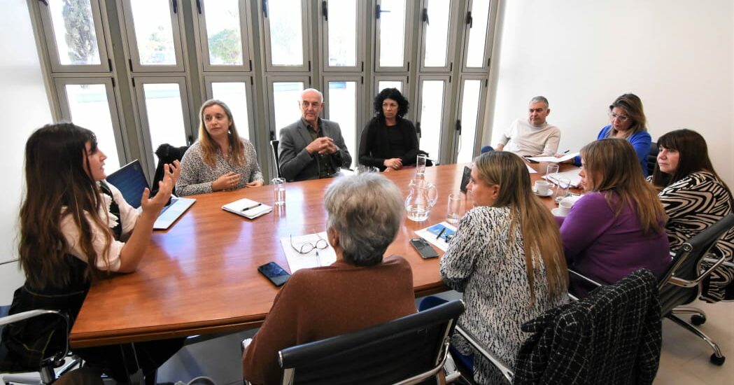 El Ministerio de Salud valoró la importancia de la modificación de la Ley mediante la cual se conformó el Consejo Provincial de Discapacidad