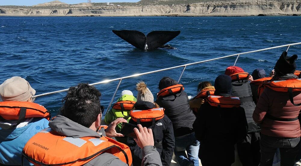 Puerto Madryn inaugura temporada de ballenas con acto oficial y reconocimientos especiales