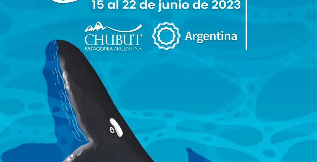 Con una amplia agenda de actividades, Chubut promociona la Semana de las Ballenas