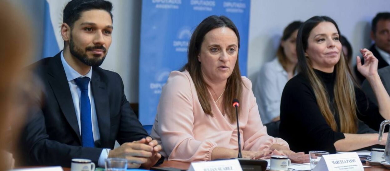 La Subsecretaría de Pesca y Acuicultura presentó su Regulación sobre el marcado de las artes de pesca de arrastre ante la Comisión de Intereses Marítimos, Fluviales, Pesqueros y Portuarios.