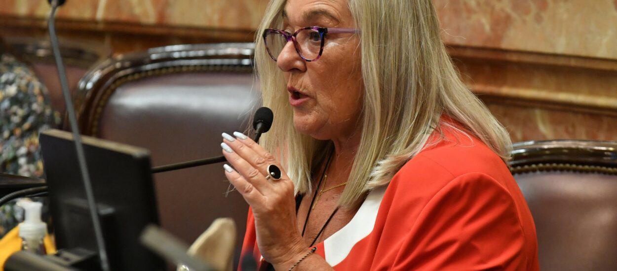 LEY DE ADOPCIÓN  TERENZI PROPONE CAMBIOS PARA QUE NIÑOS Y NIÑAS EN GUARDA PUEDAN SER ADOPTADOS POR LA FAMILIA QUE LOS ACOGE
