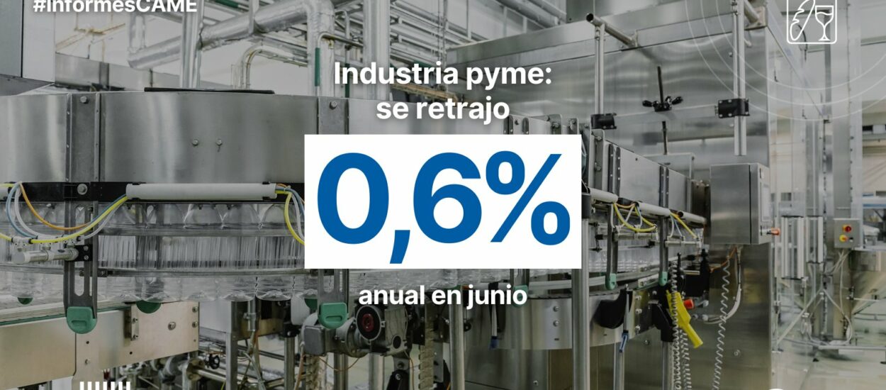 Industria PYME disminuye en junio pero muestra crecimiento en el primer semestre del año