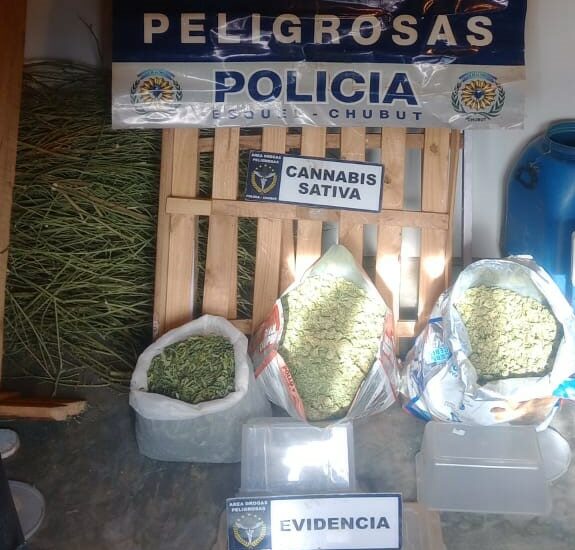 Corcovado: En operativo antidrogas, la Policía del Chubut secuestró sustancias prohibidas equivalentes a 10 millones de pesos