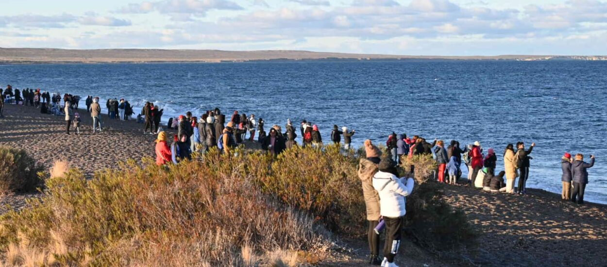 LA OCUPACIÓN EN PUERTO MADRYN DURANTE LA PRIMERA SEMANA DE VACACIONES DE INVIERNO SUPERÓ LAS ESTADÍSTICAS PREVIAS A LA PANDEMIA