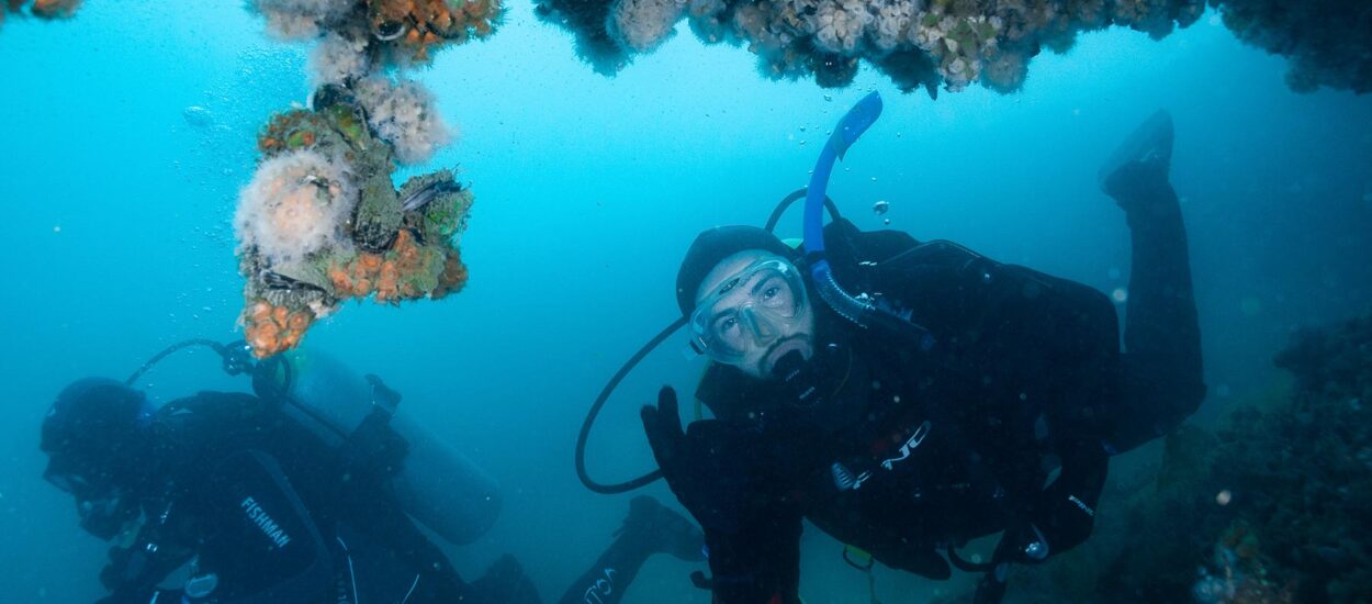 LA SEMANA DEL BUCEO SERÁ EN EL ECOCENTRO PAMPA AZUL Y TENDRÁ VARIAS ACTIVIDADES