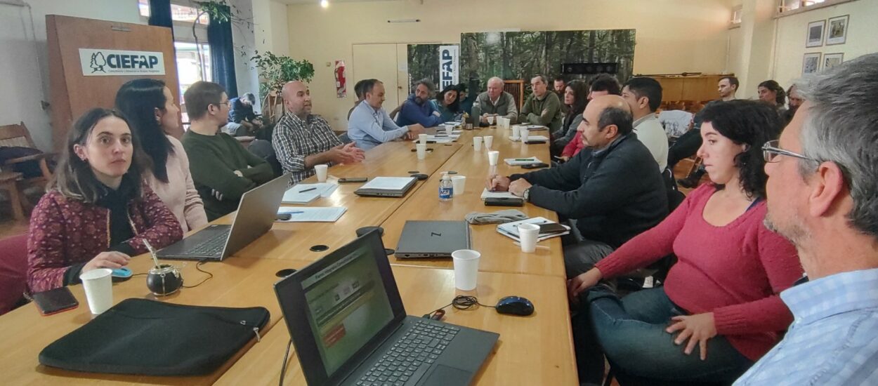 El Gobierno de la Provincia presentó propuestas para el manejo y aprovechamiento sostenible del Bosque Nativo 