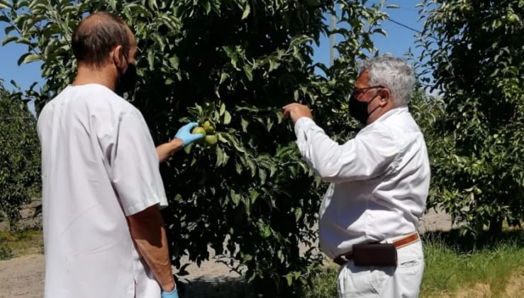 La Fundación Barrera Zoofitosanitaria Patagónica destaca el trabajo en control de Sanidad Vegetal en Chubut