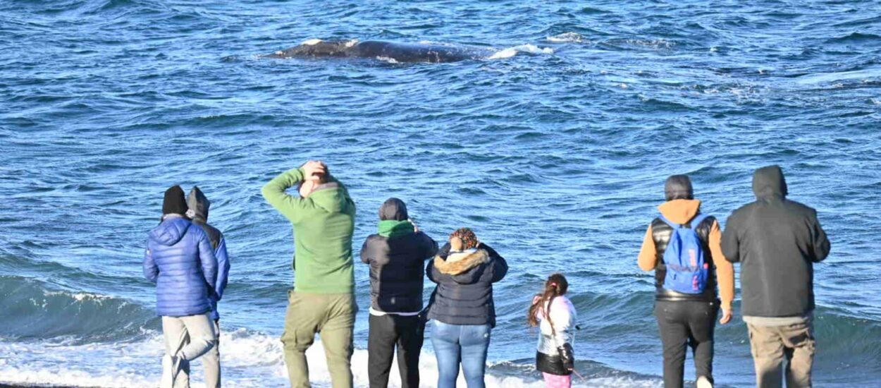 CON UNA GRAN AFLUENCIA DE TURISTAS, PUERTO MADRYN CERRÓ UNAS EXCELENTES VACACIONES DE INVIERNO