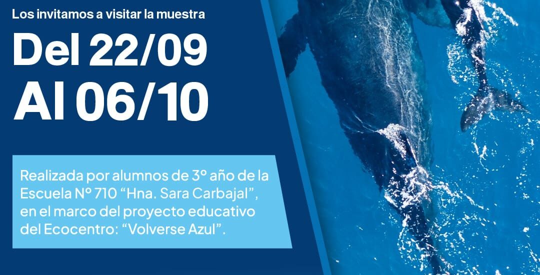 Muestra artística del proyecto “De cara al mar- Into the Blue” en Ecocentro Pampa Azul