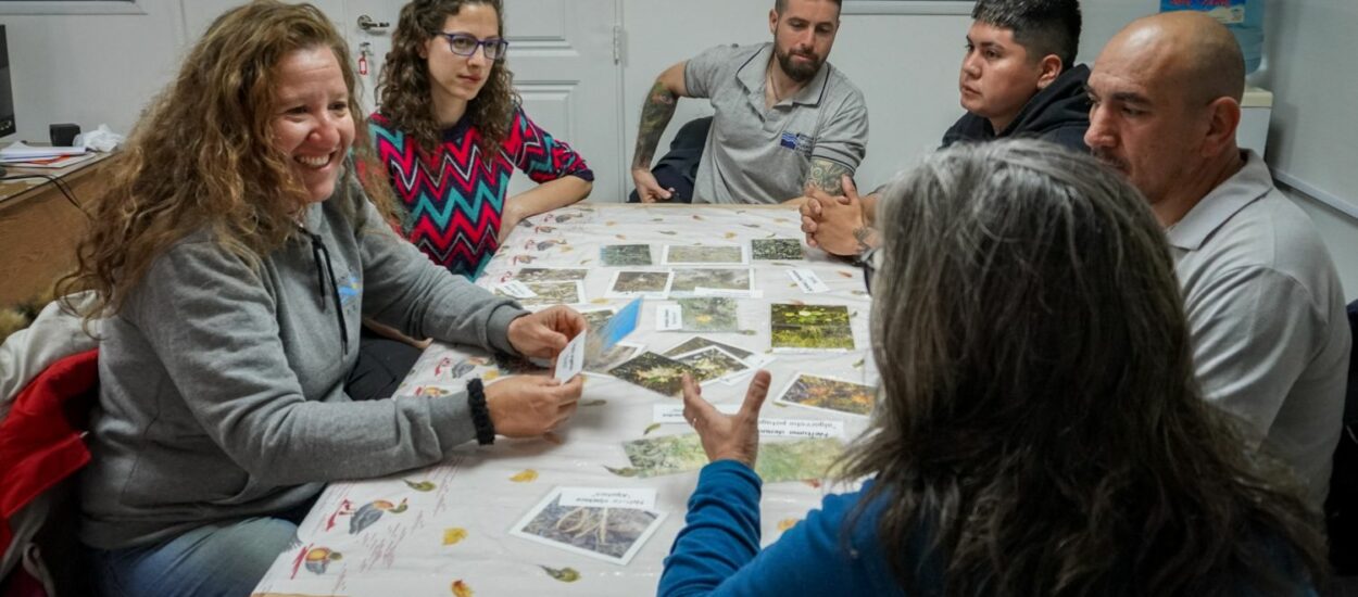 Puerto Madryn: La Administración Portuaria avanza en la revegetación con plantas nativas