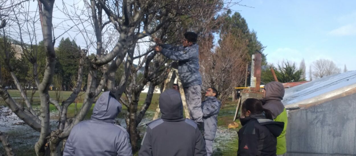 Equipo técnico del Ministerio de Agricultura realizó una jornada de poda de frutales en la Unidad 14 de Esquel 