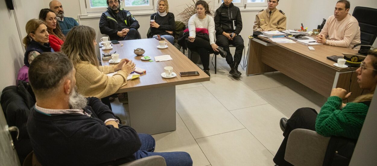 Comodoro Rivadavia Gripe aviar: ante la preocupación en la zona, se dispuso el 103 para denuncias de casos sospechosos