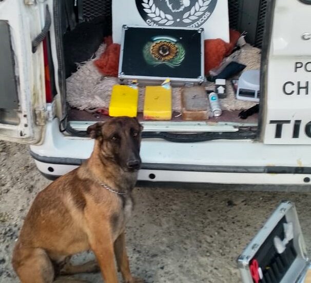 La Policía de Chubut secuestró más de 3 kilos de cocaína e incautó una alta suma de dinero