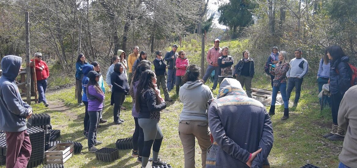 El Gobierno de la Provincia capacita a docentes sobre la protección del bosque 