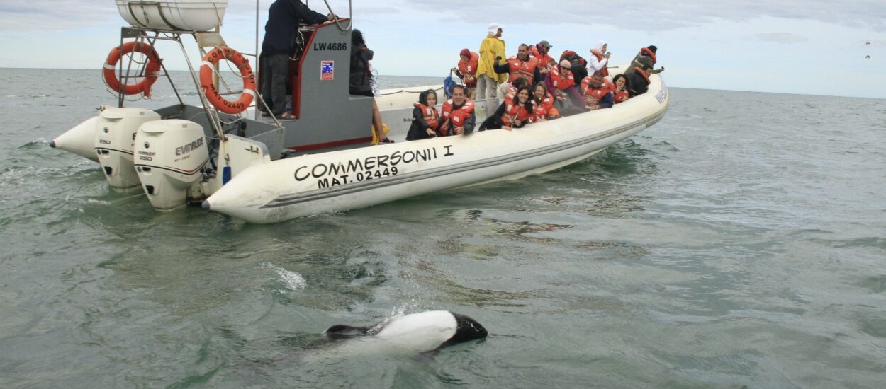 Chubut recibirá un Fam Tour de Agencias de Viaje Internacionales