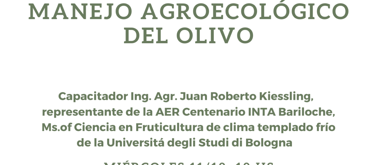 Provincia convoca a una nueva capacitación sobre cultivo de olivos en Comodoro Rivadavia y Puerto Madryn