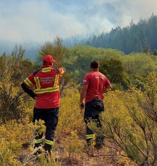 Brigadistas monitorean el incendio que comenzó en Dr. Atilio Viglione tras una quema no autorizada