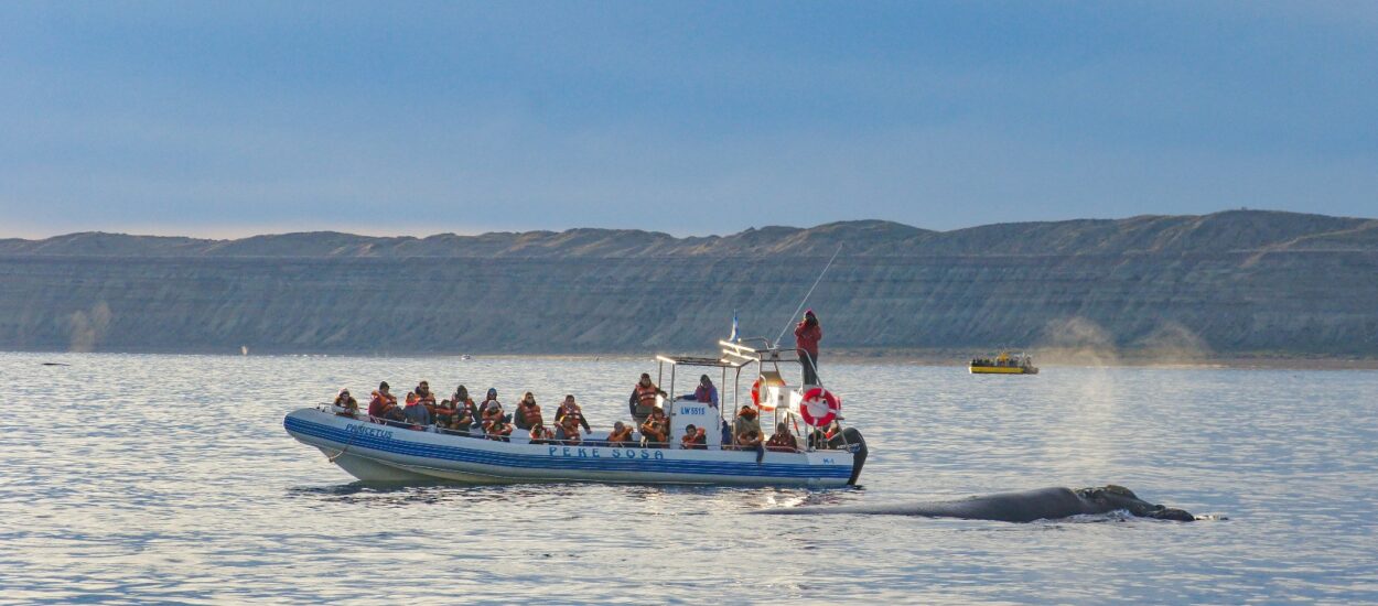 Chubut registró una ocupación promedio del 90% durante el fin de semana extra largo