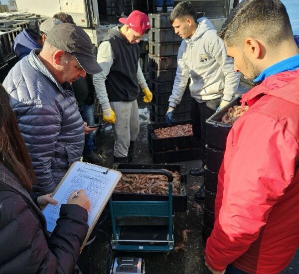 La Dirección Nacional de Coordinación y Fiscalización Pesquera recibe el apoyo de la FAO para reforzar el control y fiscalización