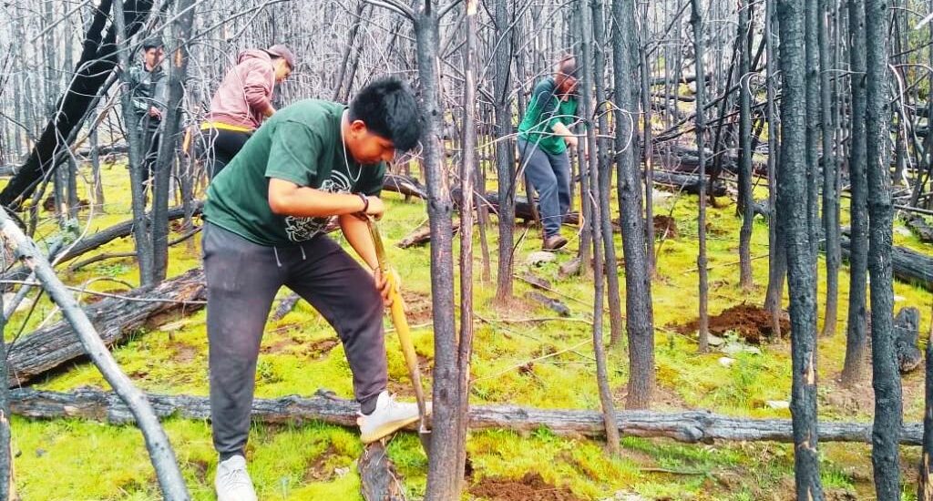 Provincia realizó el cierre de la campaña anual de restauración de bosques