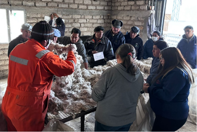 Provincia realizó una jornada de capacitación en acondicionamiento de mohair