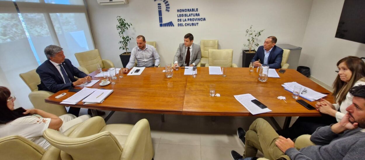Inicio de Sesión Legislativa en Chubut: Prioridades en Infraestructura, Proyectos de Ley y Designaciones en Comisiones