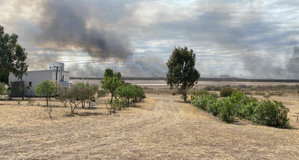 El Gobierno del Chubut trabaja en la contención del incendio generado en cercanías a Puerto Lobos