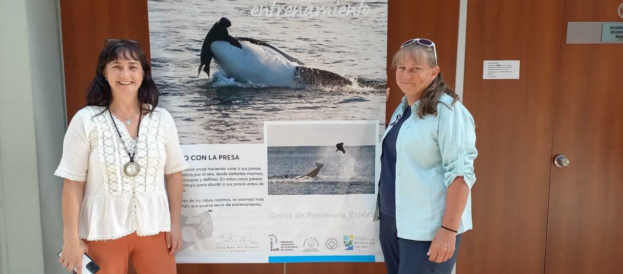 La gerente del EMRaTur participó de la muestra fotográfica “Orcas Península Valdés” 