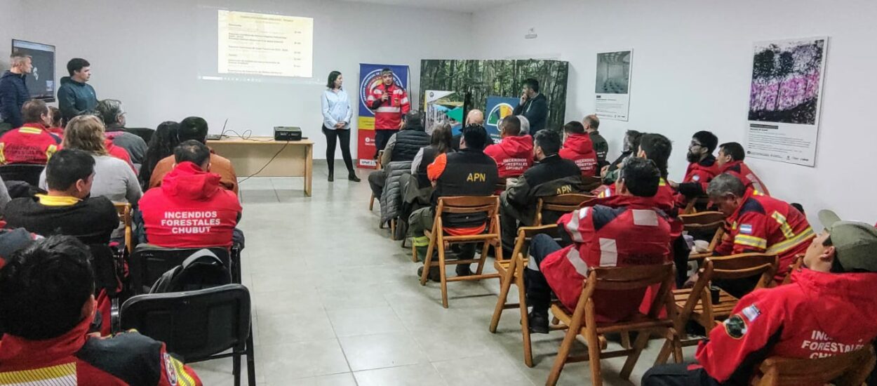 Provincia proyecta acciones para la prevención de incendios