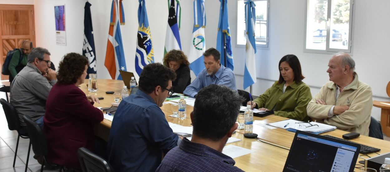 Chubut participó de la 85° reunión del Consejo Directivo del CIEFAP