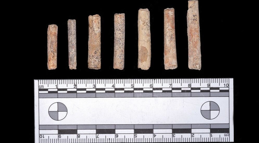 Revelan el hallazgo de los restos humanos más antiguos de la Patagonia