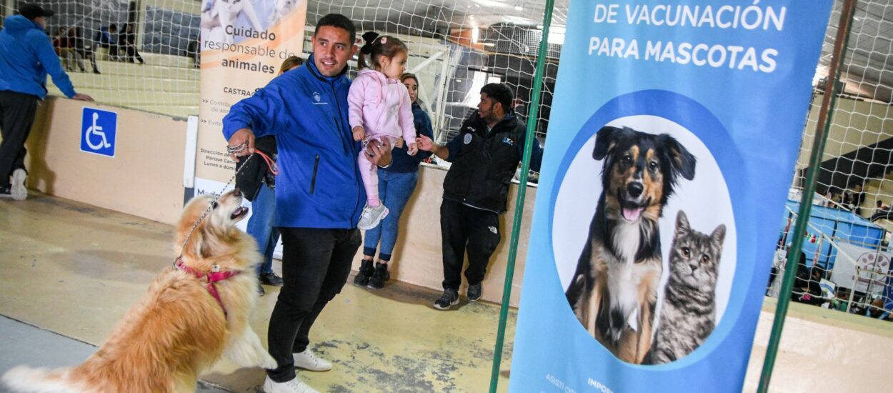 CAMPAÑAS GRATUITAS PARA PERROS Y GATOS LLEGAN AL BARRIO NUEVA CHUBUT