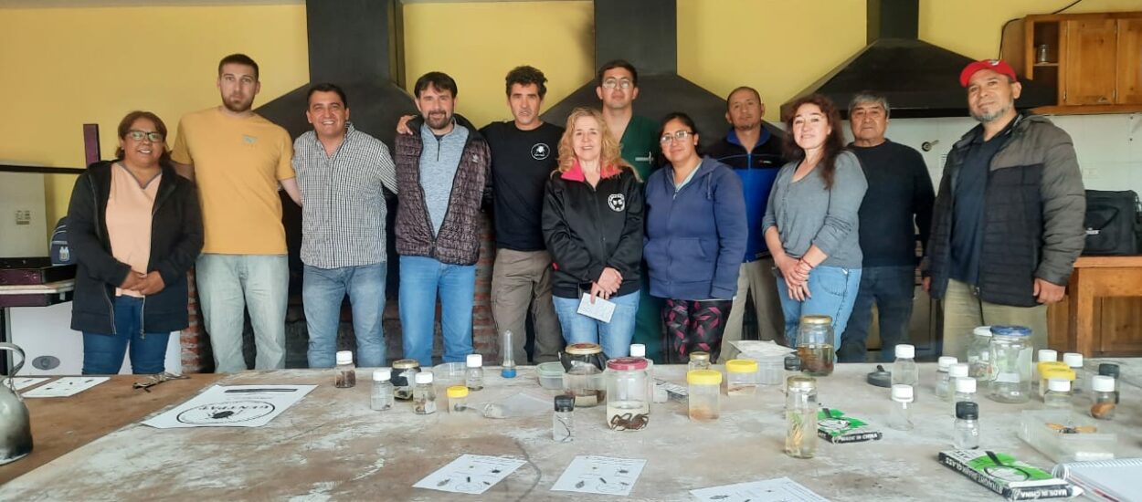 Con el apoyo de la Provincia becario chubutense presentó resultados preliminares sobre arácnidos e insectos de importancia médica