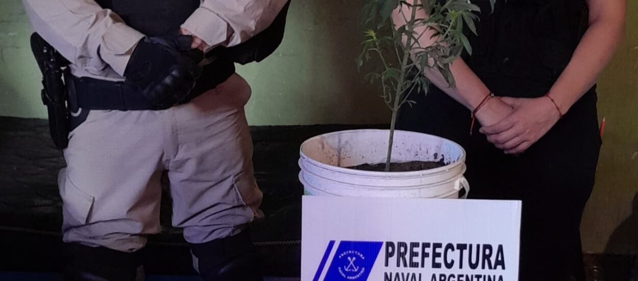 Puerto Madryn: Prefectura allanó un kiosco de drogas