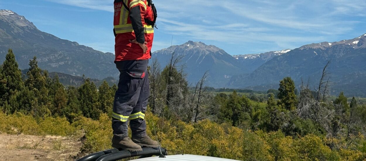 Tras un fuerte operativo se logró extinguir el incendio forestal en la zona de Los Cipreses 