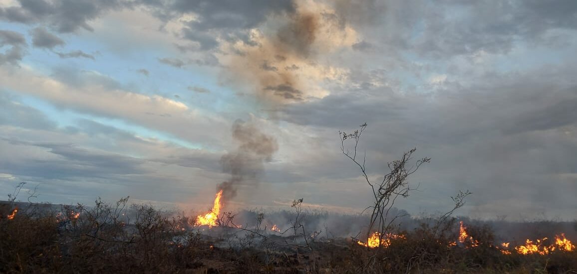 Incendio Rural Afecta la Zona de Bajo Gualicho