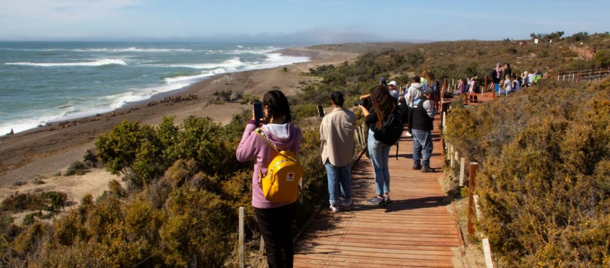 Provincia valoró la Apertura de la Temporada de Orcas 2025