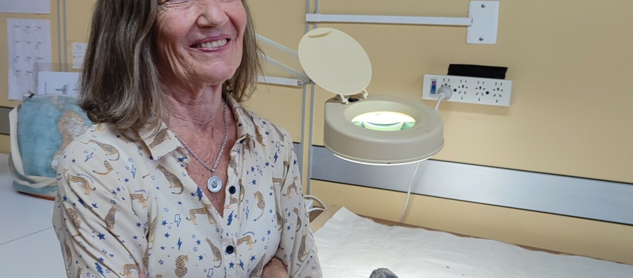 Julieta Gómez Otero, una pionera en la arqueología de costa