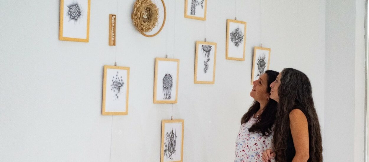 Provincia exhibe muestras conmemorativas en el Mes de la Mujer