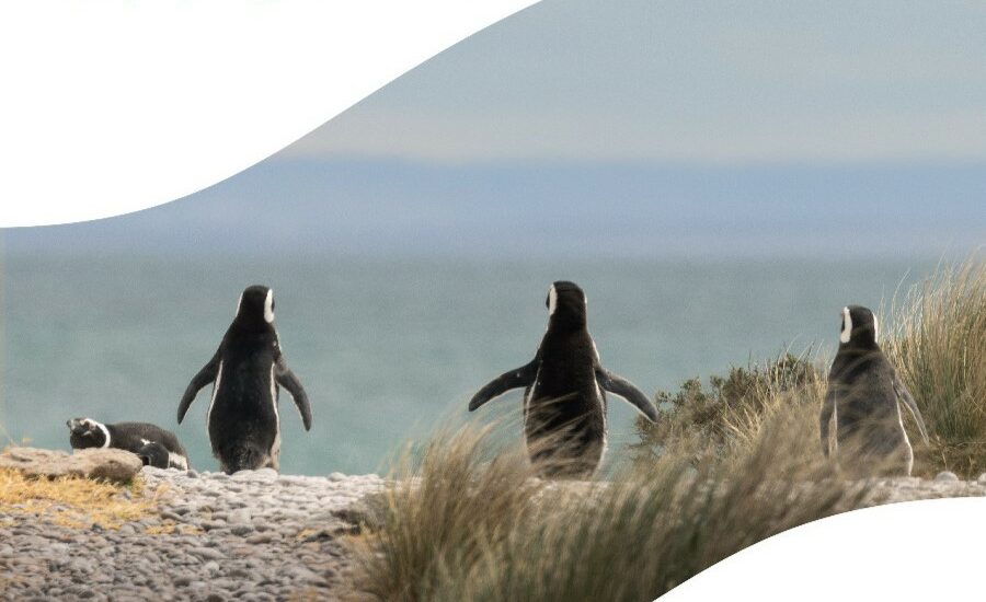 Chubut fortalece su presencia internacional en la Feria ITB Berlín