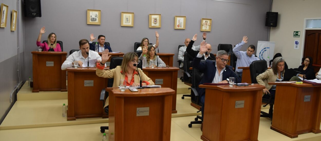 Concejo Deliberante de Puerto Madryn Aprueba Prohibición de Franquicias Inmobiliarias