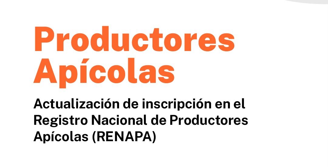 Provincia convoca a productores apícolas a actualizar su inscripción en el Registro Nacional